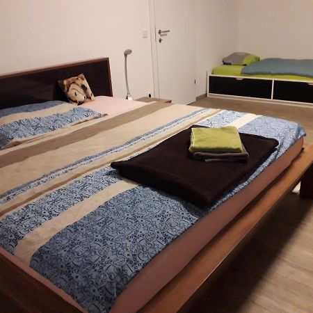 Apartment mit Balkon Steyr Bagian luar foto