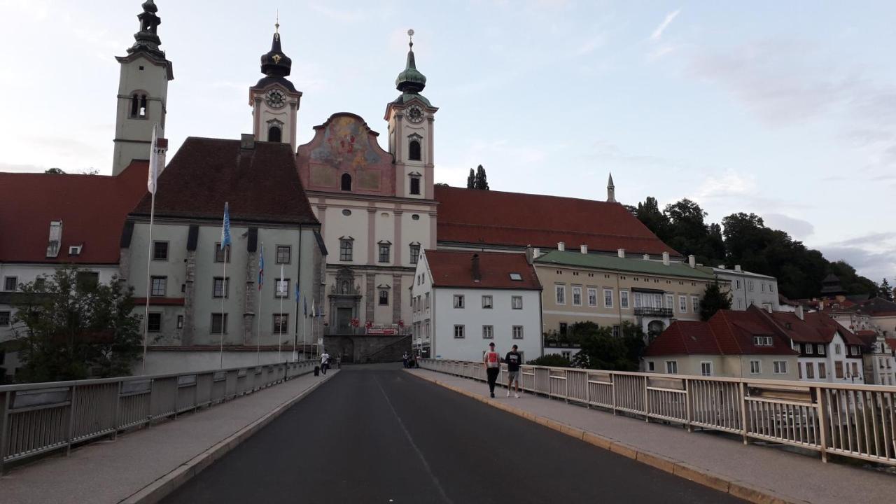 Apartment mit Balkon Steyr Bagian luar foto